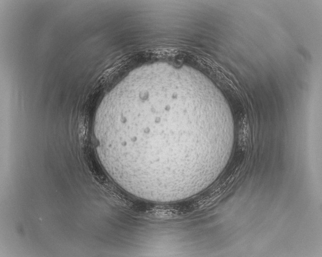 X0000115630608200912011442