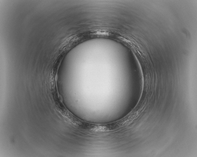 X0000115630609200912011442