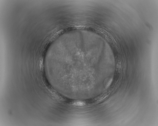 X0000115630610200912011442