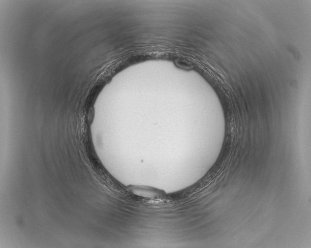 X0000115630611200912011442