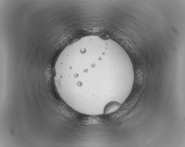 X0000115630612200912011442