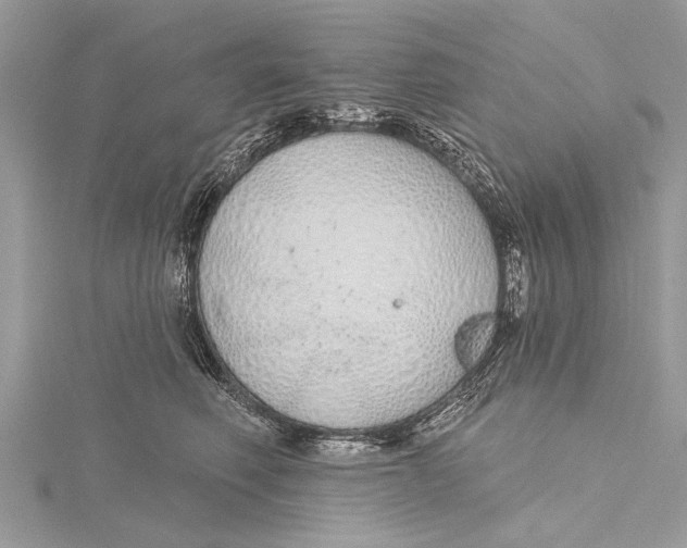 X0000115630614200912011442