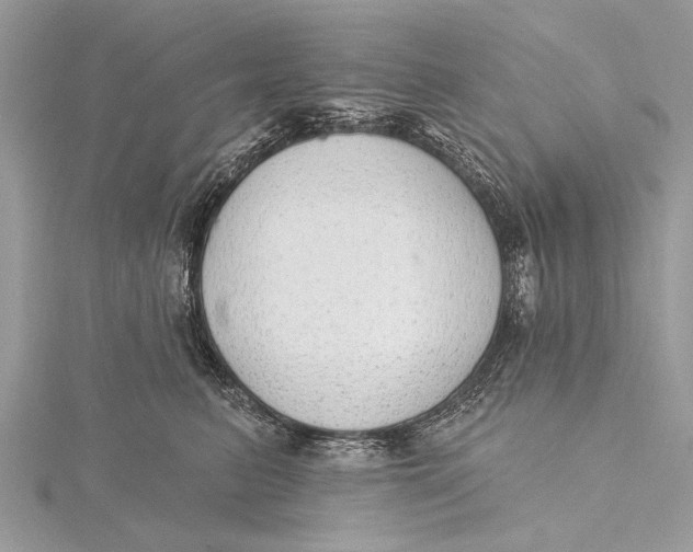 X0000115630615200912011442