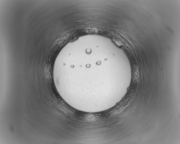 X0000115630616200912011442