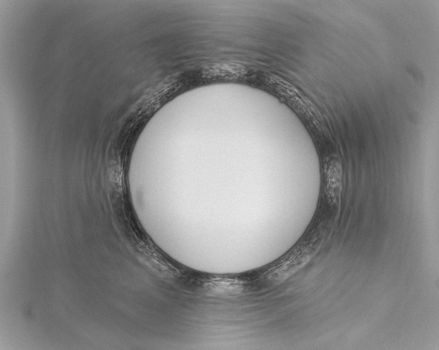 X0000115630617200912011442