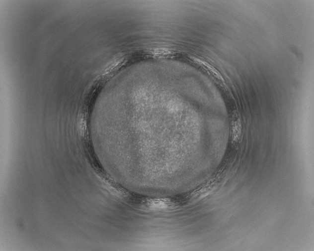 X0000115630618200912011442