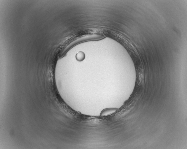 X0000115630620200912011442