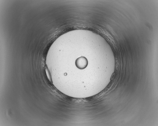 X0000115630621200912011442