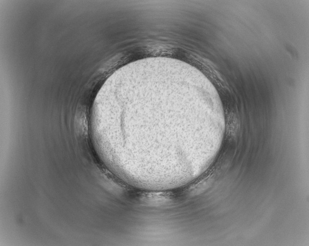 X0000115630622200912011442