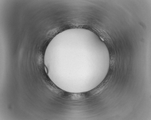 X0000115630623200912011442