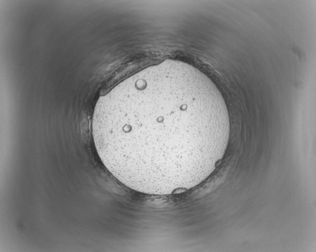 X0000115630624200912011442