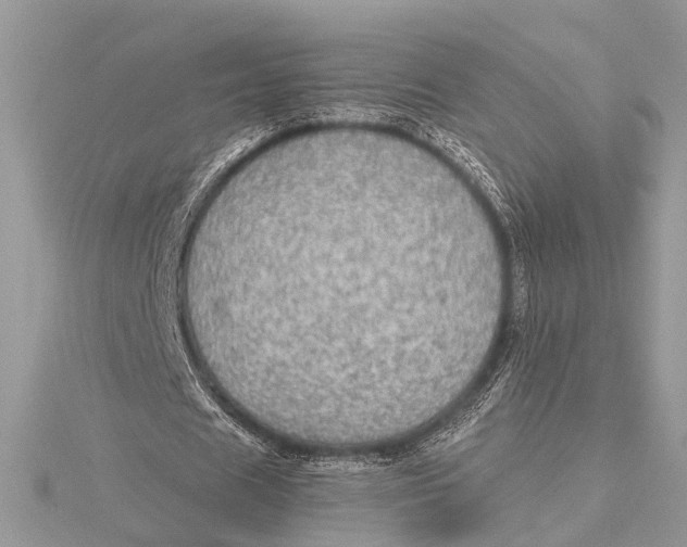 X0000115630625200912011441