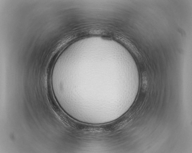 X0000115630626200912011441