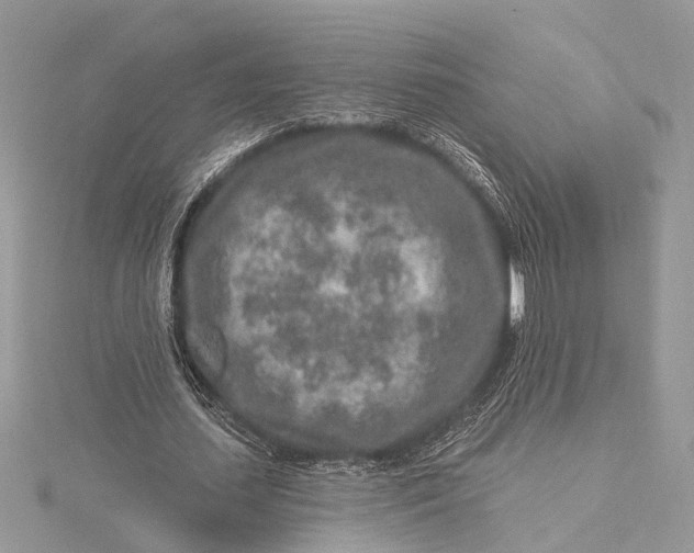 X0000115630627200912011441