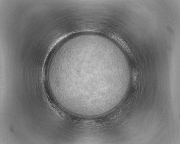 X0000115630628200912011441