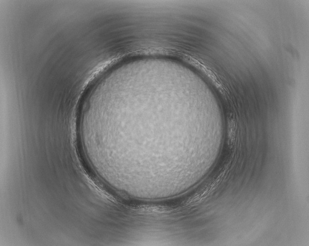 X0000115630629200912011441