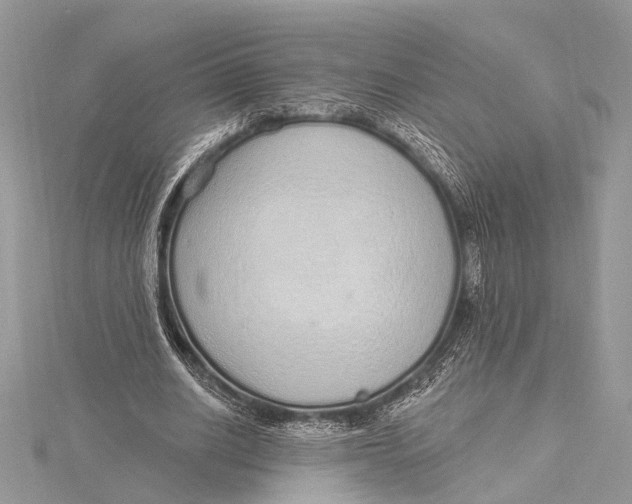 X0000115630630200912011441