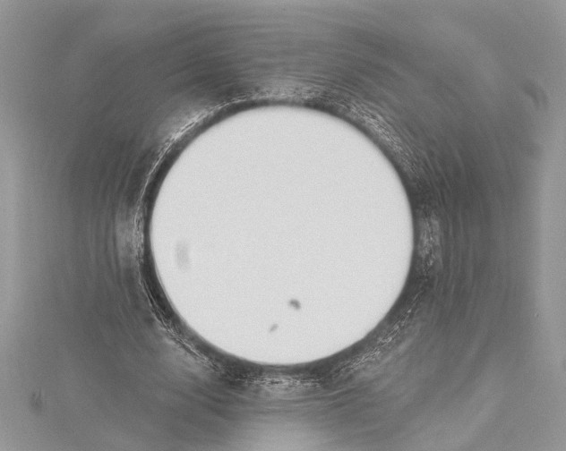 X0000115630632200912011441