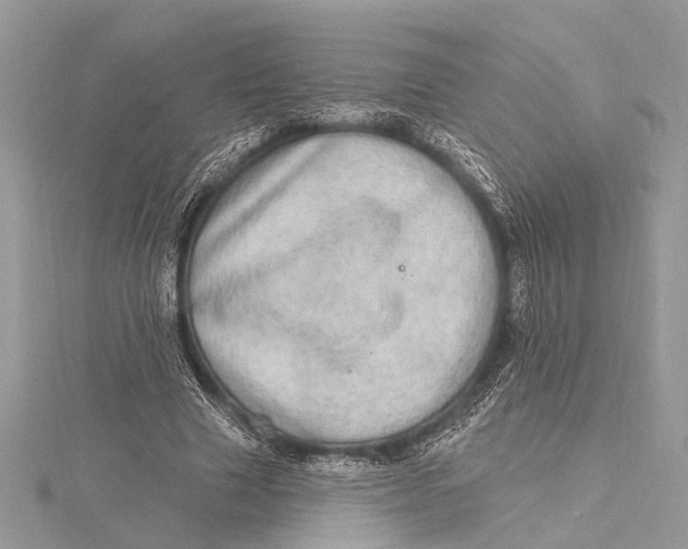 X0000115630633200912011441