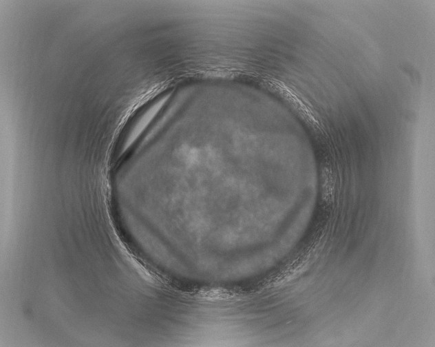 X0000115630634200912011441