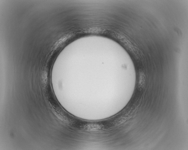 X0000115630636200912011441