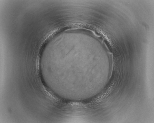 X0000115630637200912011441