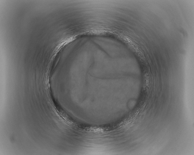 X0000115630640200912011441