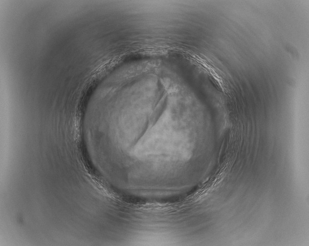 X0000115630641200912011441