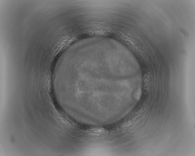 X0000115630642200912011441