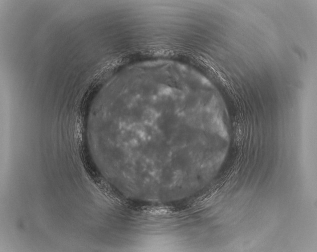 X0000115630643200912011441