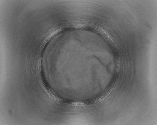 X0000115630644200912011441