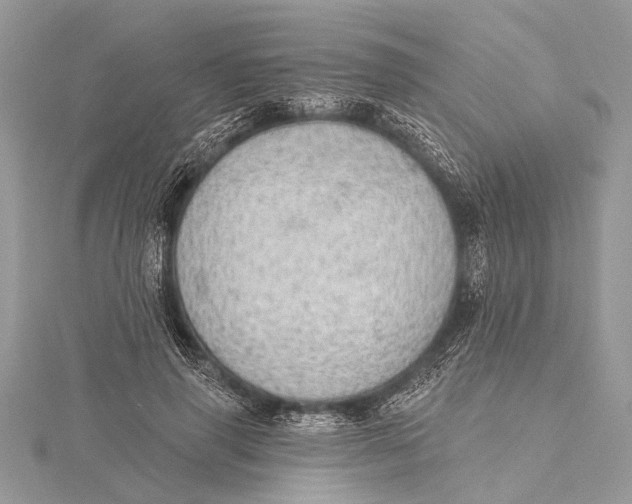 X0000115630645200912011441