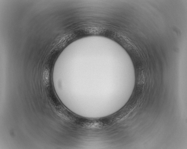 X0000115630646200912011441