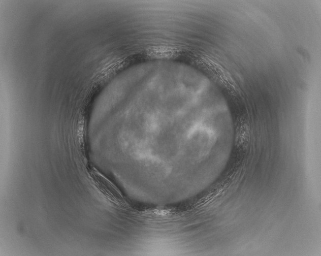 X0000115630647200912011441