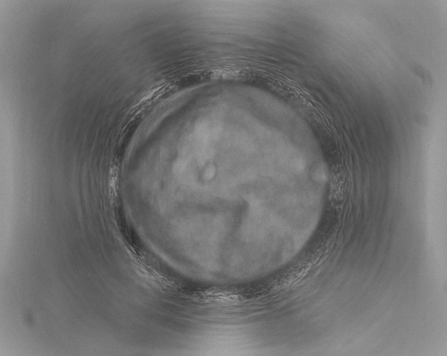 X0000115630648200912011441