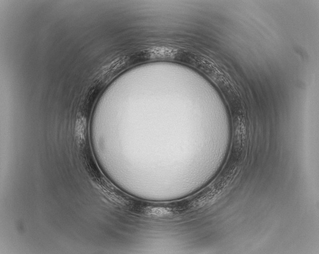 X0000115630649200912011441