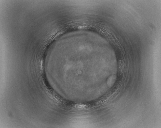 X0000115630650200912011441