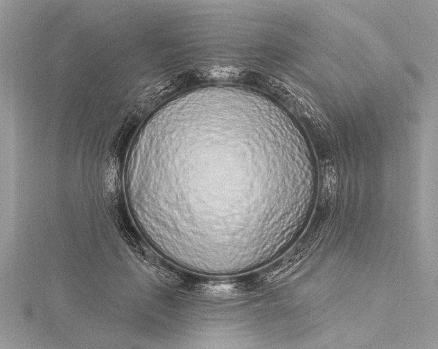 X0000115630651200912011441