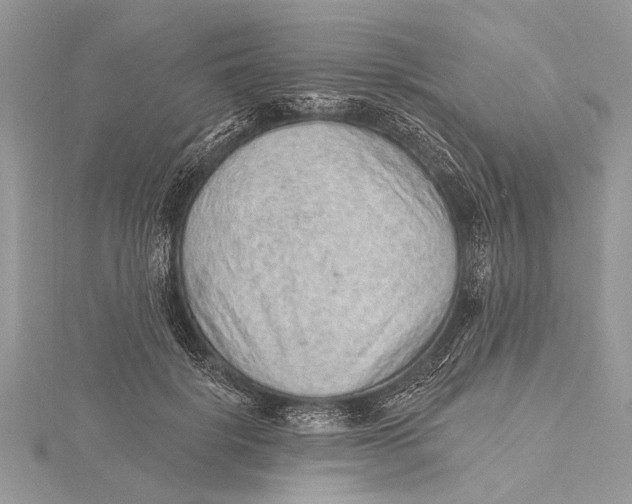 X0000115630652200912011441