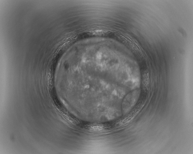 X0000115630653200912011441