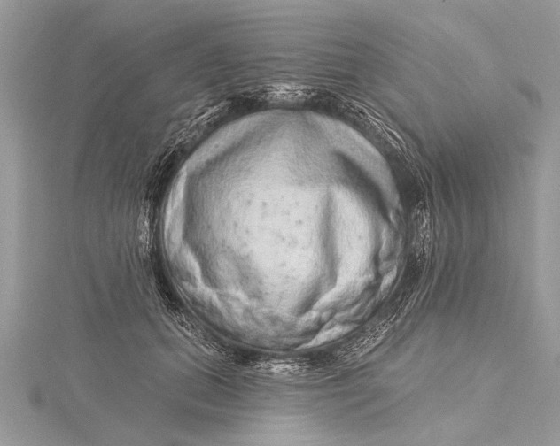 X0000115630655200912011441