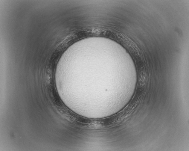 X0000115630656200912011442