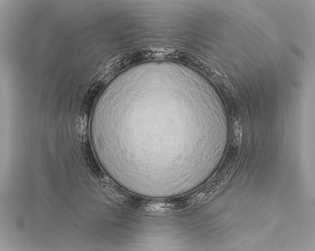 X0000115630657200912011442