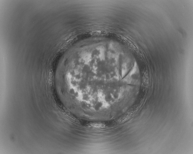 X0000115630659200912011442