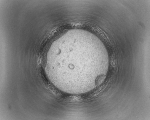 X0000115630660200912011442