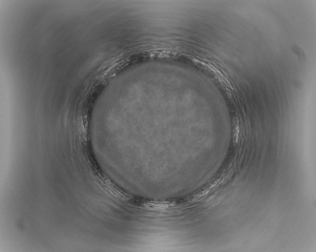 X0000115630661200912011442