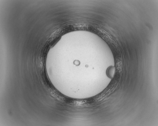 X0000115630662200912011442