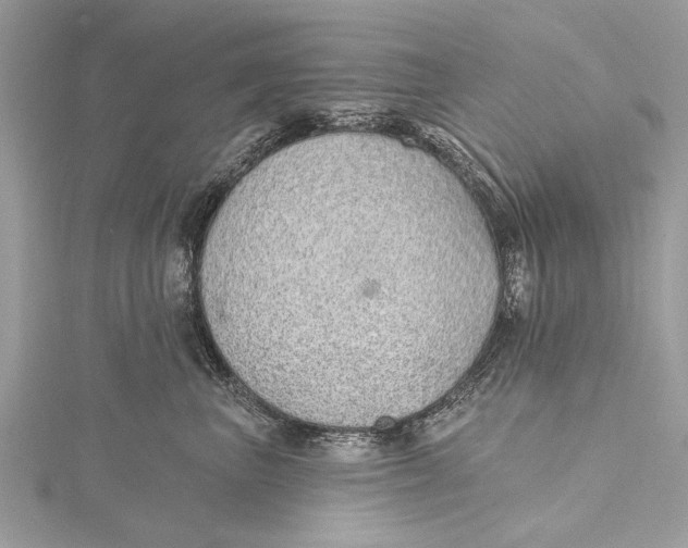 X0000115630667200912011442