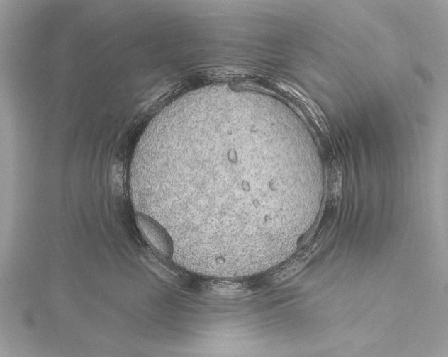 X0000115630669200912011442