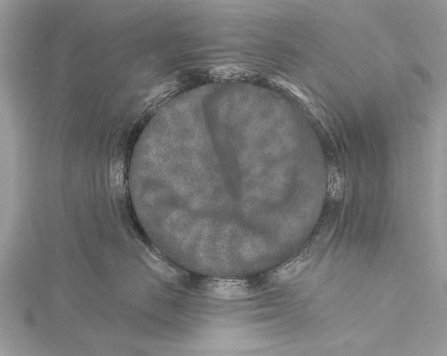 X0000115630670200912011442